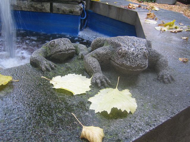 TAUBERBISCHOFSHEIM > Krötenbrunnen