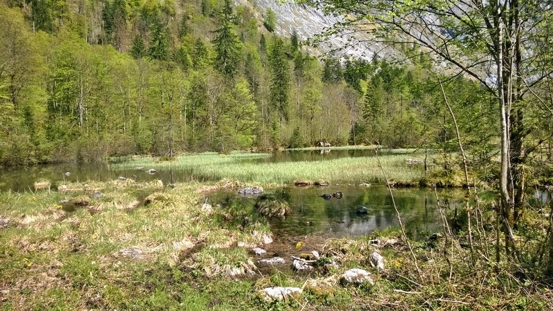 WP_20140425_025 1