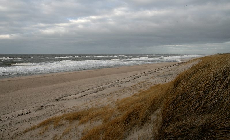 01 Watt  Weststrand  (5)