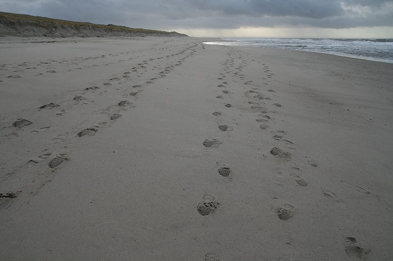 05 Watt  Weststrand  (7)