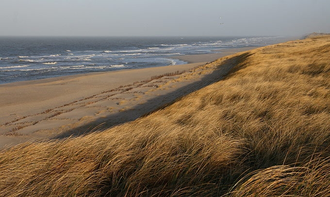 Odde Strand 001 680