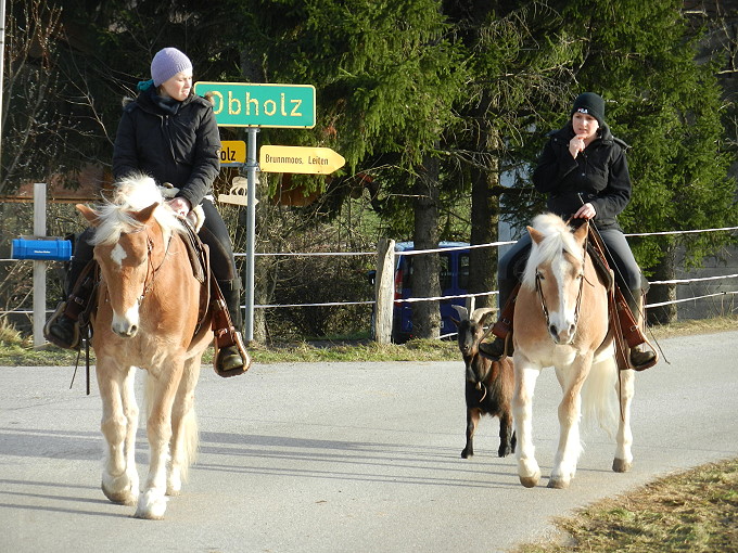 Am Irschenberg 3