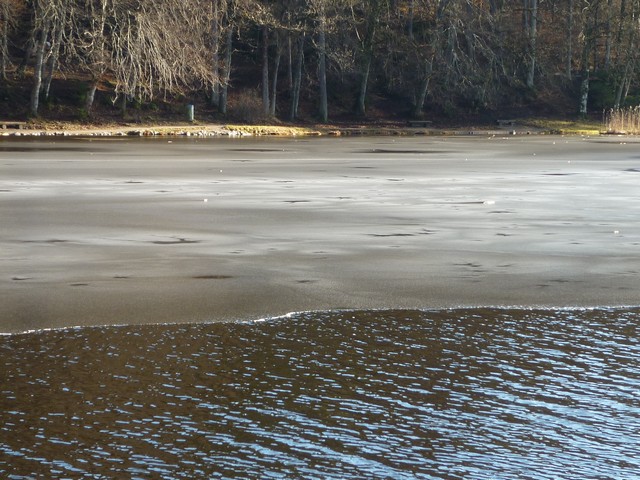 Deininger Weiher u. Zauberwald