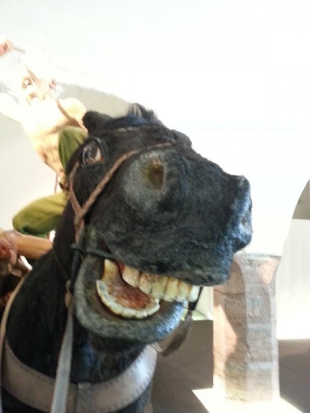 keltenmuseum120140405_154806