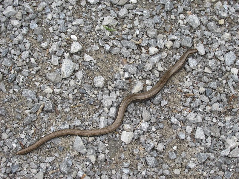 Hermann-von-Barth-Hütte 08.15 011