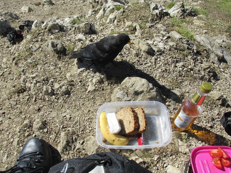 Krinnenspitze 9.2015 026