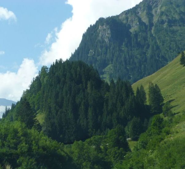 A:SBL>Fahrt zum Großklockner>Fuschertal3