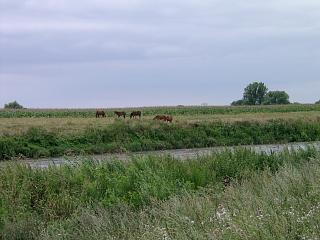 Sachsen:Mulde bei Bad Düben