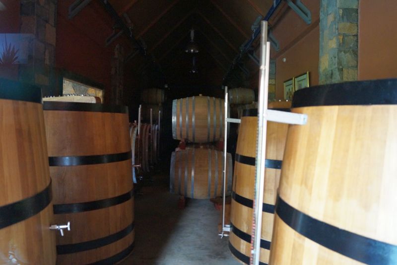 MS:Chamarel>rhumerie6