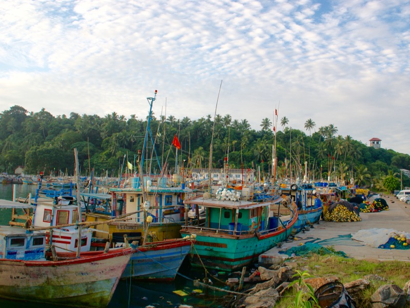 Mirissa > Hafen