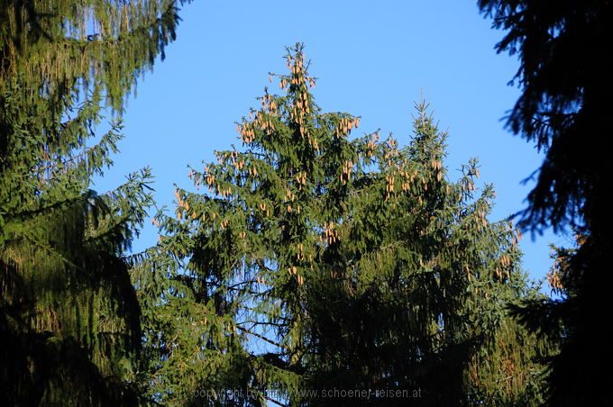 Möhnesee und Arnsberger Wald 11