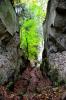 Vier-Berge-Tour 1 8 Vier-Berge-Tour 1 8