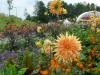ROSENHEIM>Landesgartenschau