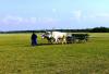 Ochsengespann in der Puszta Ochsengespann in der Puszta
