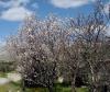 Fühling bei Kastela Fühling bei Kastela