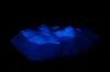 FAZANA > Rhapsodie in Blau FAZANA > Rhapsodie in Blau