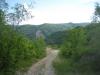 Gologorica (25) Gologorica (25)