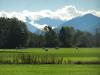 Herbst 003 800 Herbst 003 800