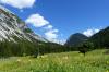 P1010901 P1010901