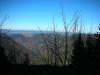 FELDBERG > aa 25  Wanderweg zur Zastlerhütte > Panorama