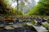 Hullerner See 01 7