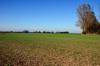 Insel Poel 2014 DSC_8067 Insel Poel 2014 DSC_8067