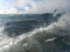 Insel Vilm 5 Insel Vilm 5