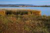 12 8 Bodden Kraniche 152 12 8 Bodden Kraniche 152