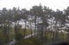 Regen in Binz
