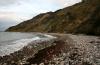 Hiddensee 8 Hiddensee 8