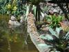 Vogelpark Vogelpark