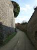 D:Hessen>Burg Breuberg>Burggraben>Busch D:Hessen>Burg Breuberg>Burggraben>Busch